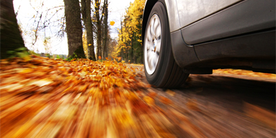 Autumn Driving Hazards