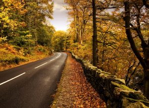 autumn roads