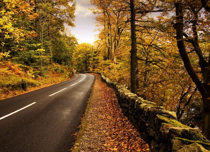 Safety Tips for Autumn Driving