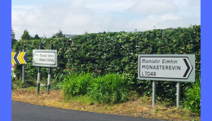 funny road signs in ireland