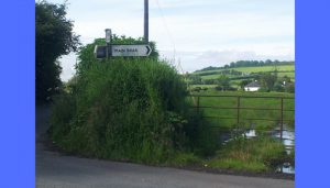 funny road signs in ireland 4