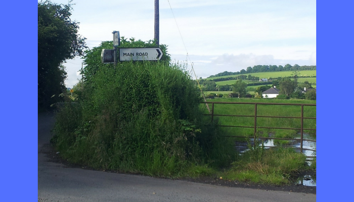 Funny Road Signs And Situations You Can Find In Ireland