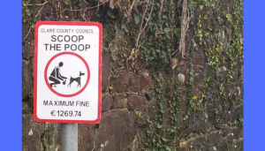 funny road signs in ireland 6