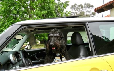 One Of The Most Typical Driving Test Mistakes And How To Prevent Them.